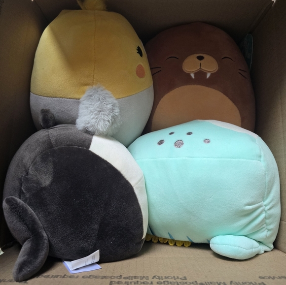 Squishmallow Bundle NWT - Picture 3 of 5